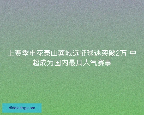 上赛季申花泰山蓉城远征球迷突破2万 中超成为国内最具人气赛事